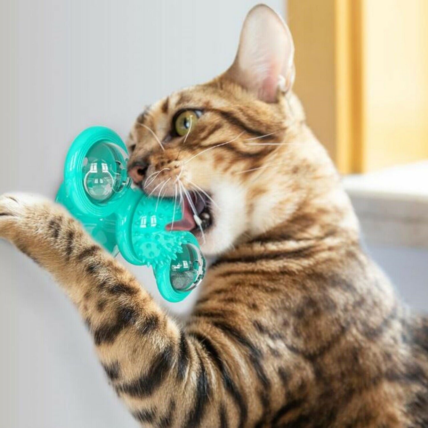 Cute Rotating Interactive Cat Toy - Cat Toy With Suction Cup  & Jagged Teeth Middle Ball, Smart Kitten Rotating Spinner Exercise Toy, Toothbrush & Massager